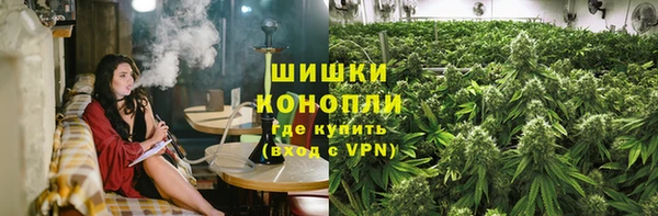 соль ск Сосновый Бор