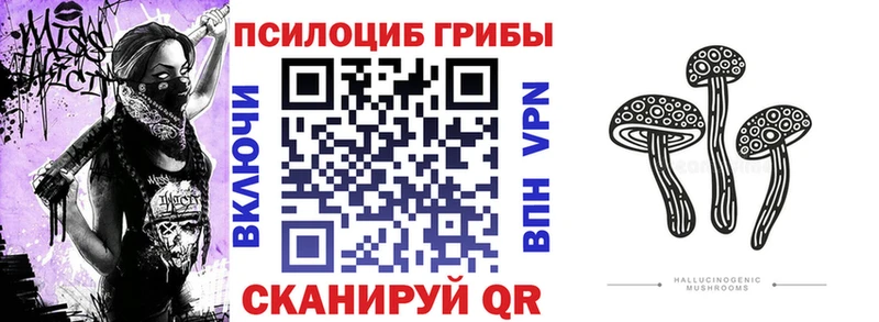 Псилоцибиновые грибы GOLDEN TEACHER  Вольск 