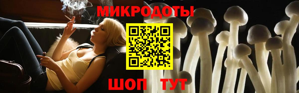 Галлюциногенные грибы Psilocybine cubensis  закладки  Вольск  Вход с VPN 